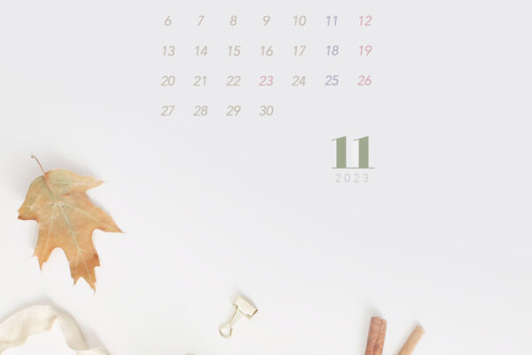 【#iPhone壁紙】ouchimo特製2023年11月のカレンダーできました！