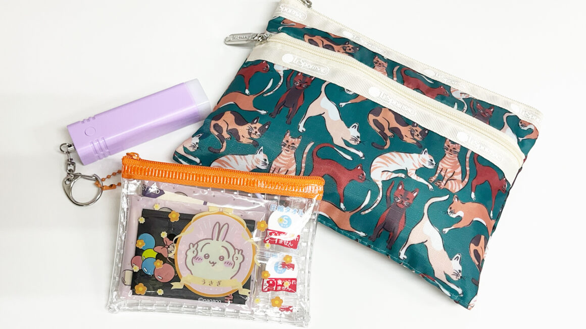 【#防災グッズ】挫折した人向け！100均+αで揃える日常の延長線上簡易防災ポーチを作ろう！