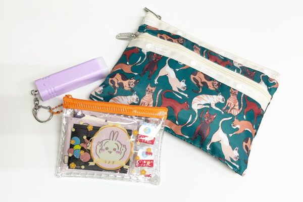 【#防災グッズ】挫折した人向け！100均+αで揃える日常の延長線上簡易防災ポーチを作ろう！