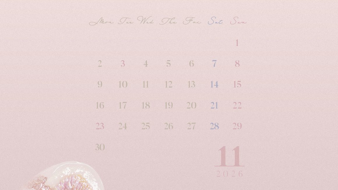 【#iPhone壁紙】ouchimo特製2026年11月のカレンダーできました！
